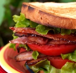 BLT